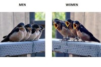 Men women birds